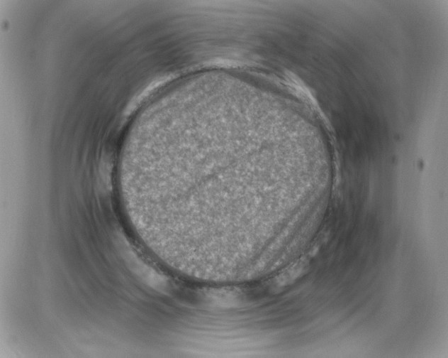 X0000085810106200704131956