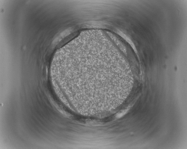 X0000085810109200704131956