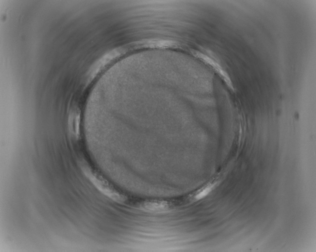 X0000085810110200704131956