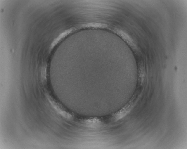 X0000085810112200704131956