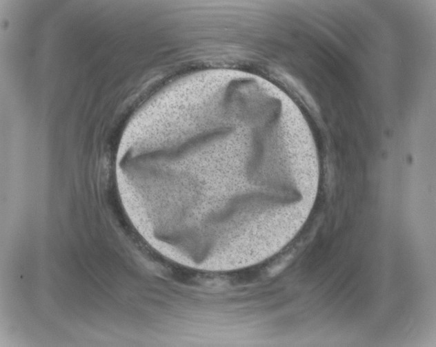 X0000085810113200704131956