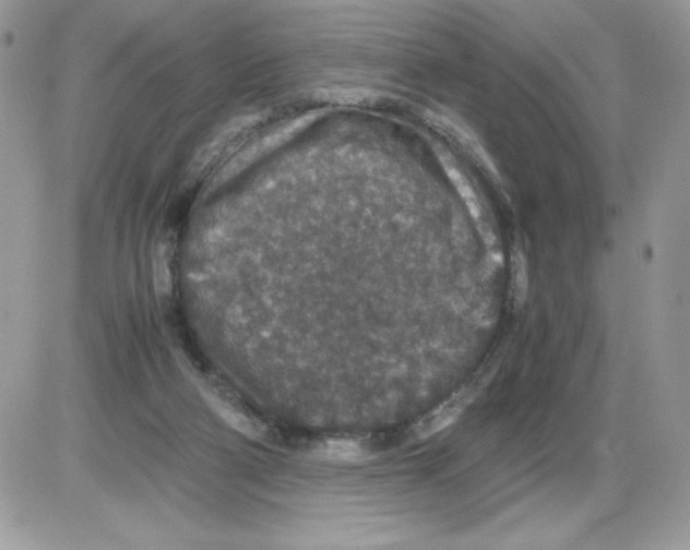 X0000085810114200704131956