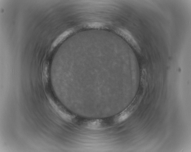 X0000085810116200704131956