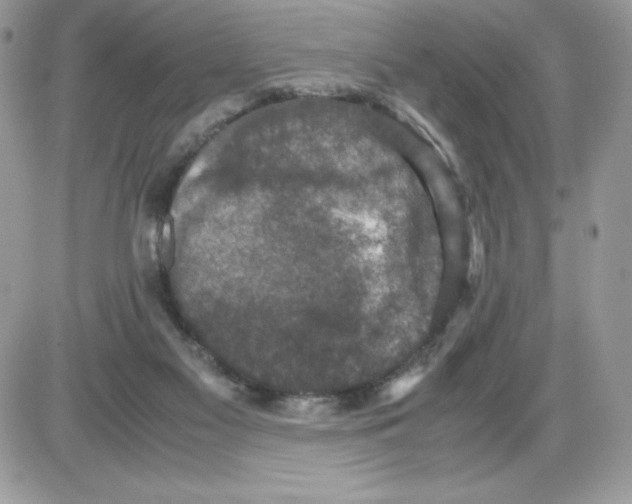 X0000085810117200704131956