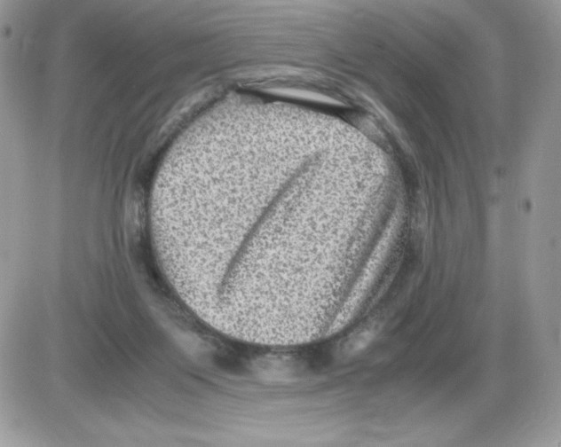 X0000085810119200704131956