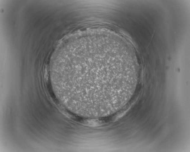 X0000085810121200704131956