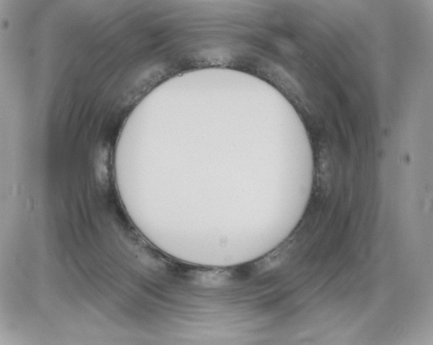 X0000085810122200704131956