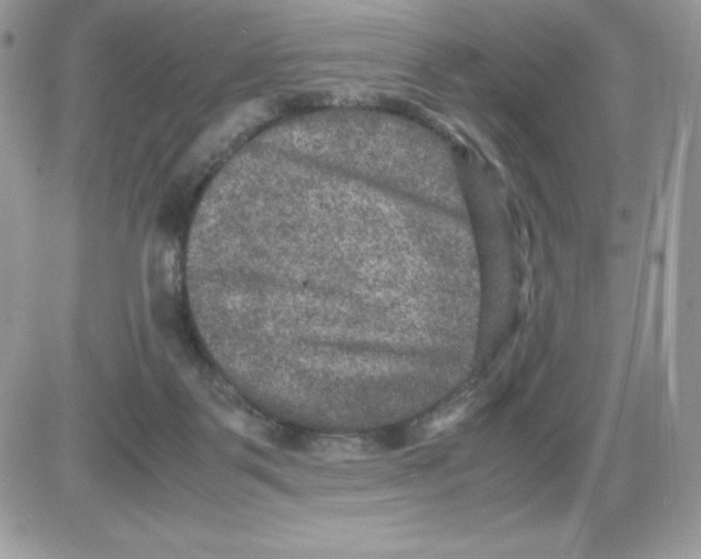 X0000085810123200704131956