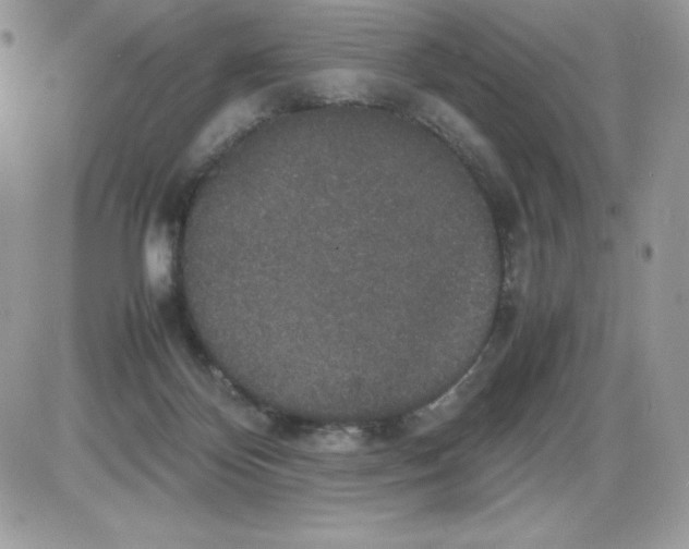 X0000085810124200704131956