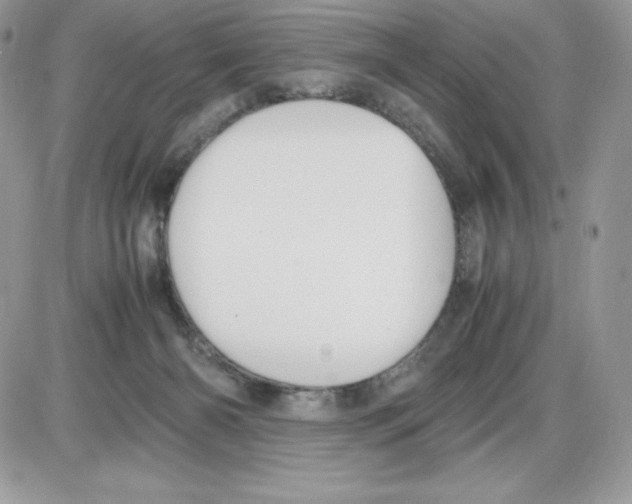 X0000085810126200704131956