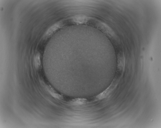 X0000085810128200704131956