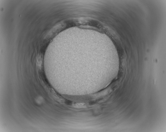 X0000085810129200704131956