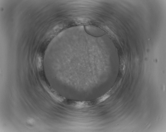 X0000085810130200704131956