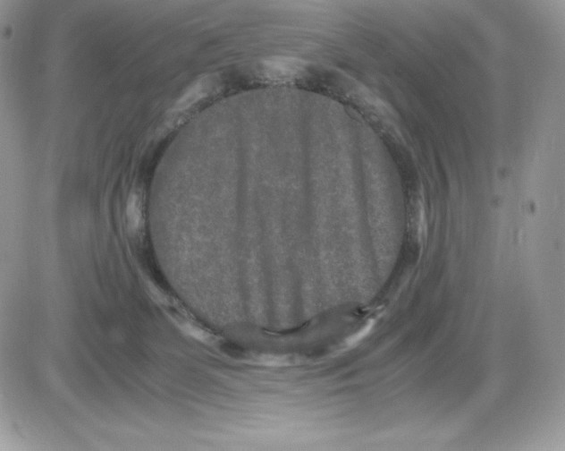 X0000085810131200704131956