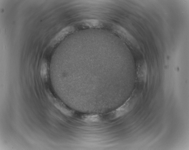 X0000085810132200704131956