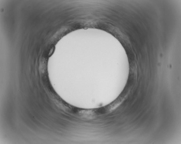 X0000085810133200704131956