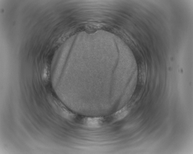 X0000085810134200704131956