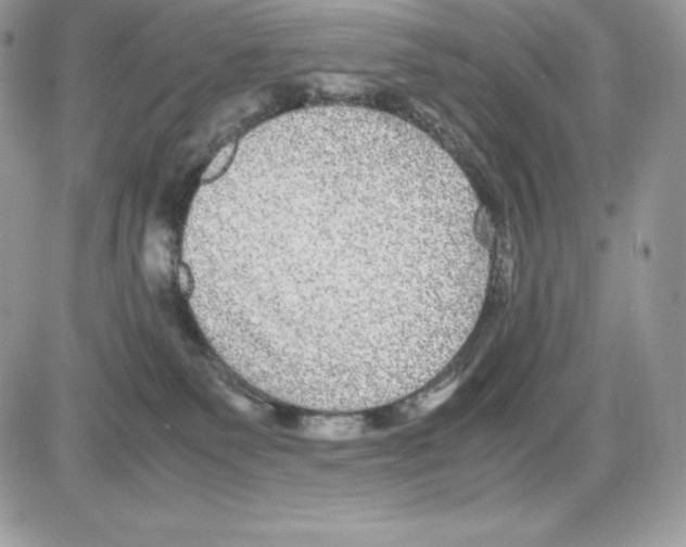 X0000085810135200704131956