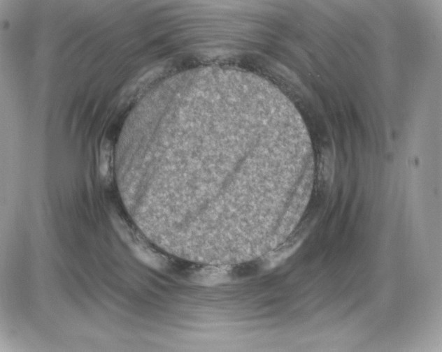 X0000085810138200704131956