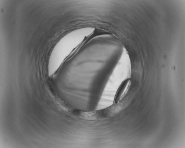 X0000085810139200704131956