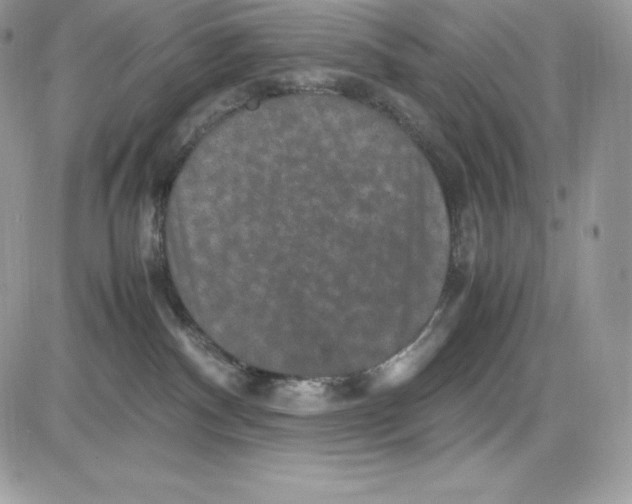 X0000085810140200704131956