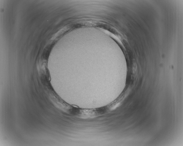 X0000085810141200704131956