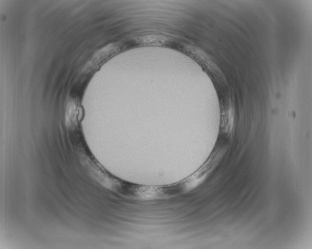 X0000085810142200704131956