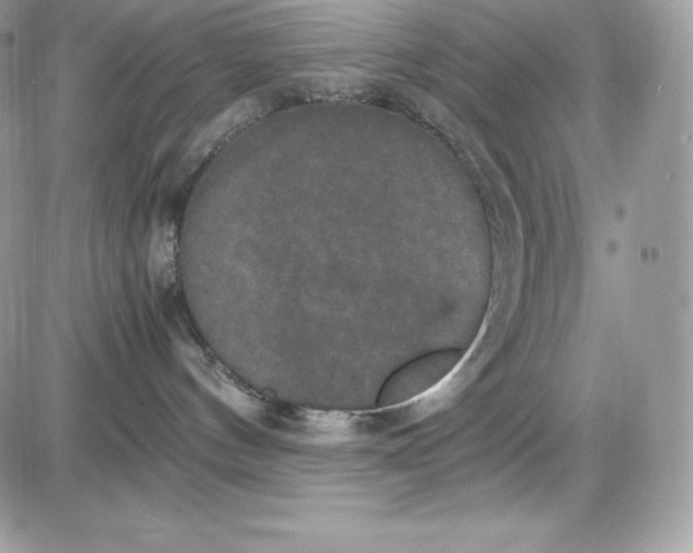 X0000085810144200704131956