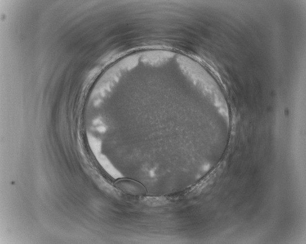 X0000085810145200704131955