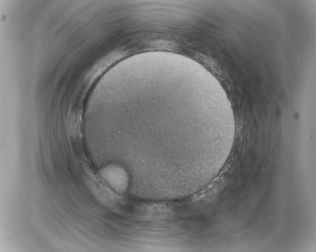 X0000085810146200704131955