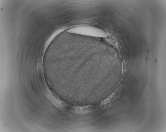 X0000085810147200704131955