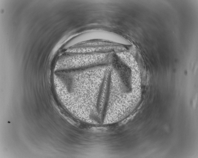 X0000085810150200704131955