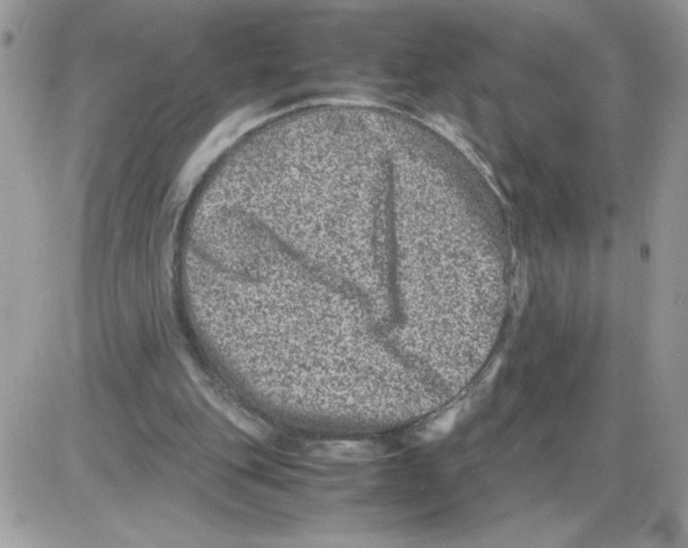 X0000085810151200704131955