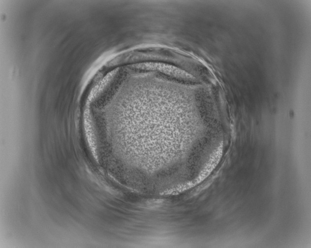 X0000085810152200704131955