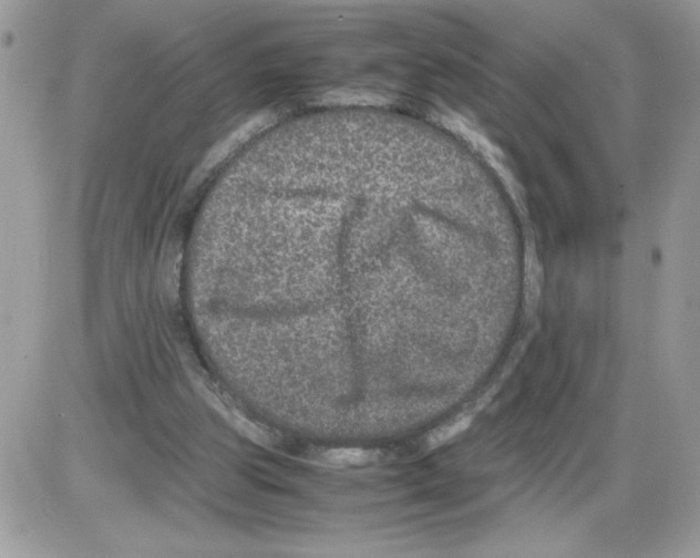 X0000085810153200704131955