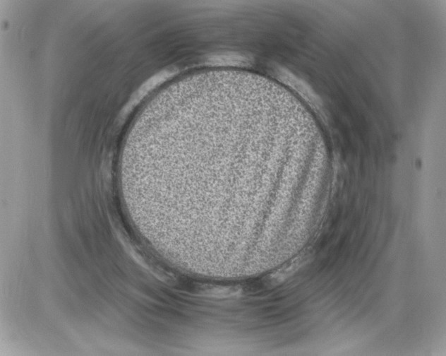 X0000085810155200704131955