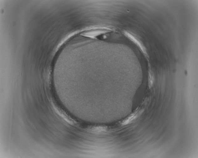 X0000085810156200704131955