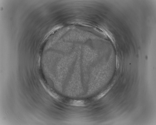 X0000085810157200704131955