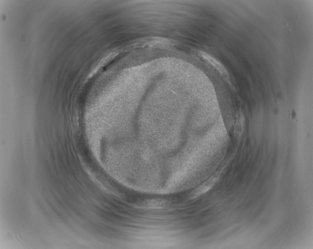 X0000085810158200704131955