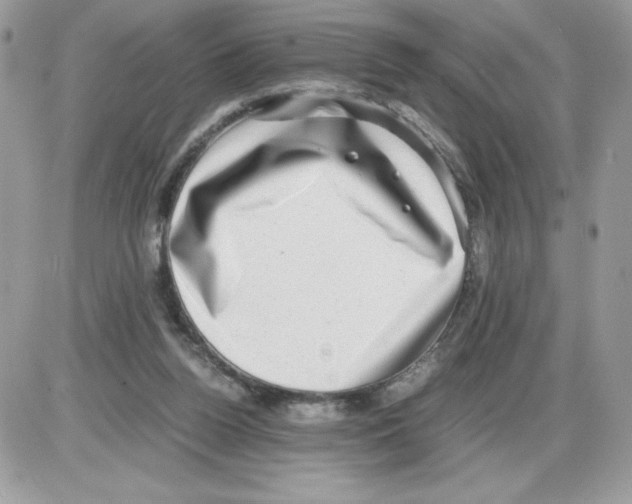 X0000085810160200704131955