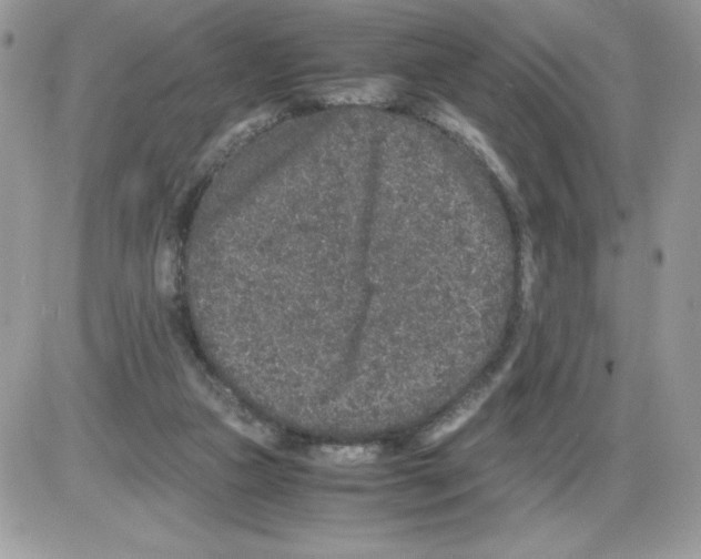 X0000085810161200704131955