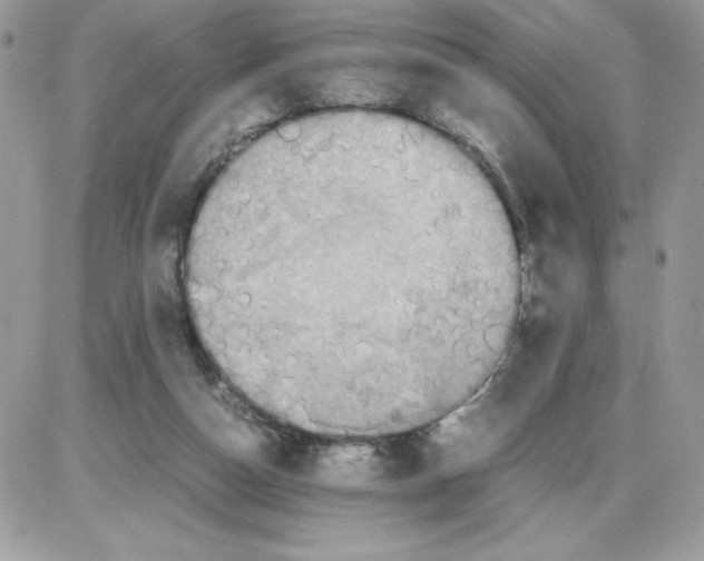 X0000085810162200704131955