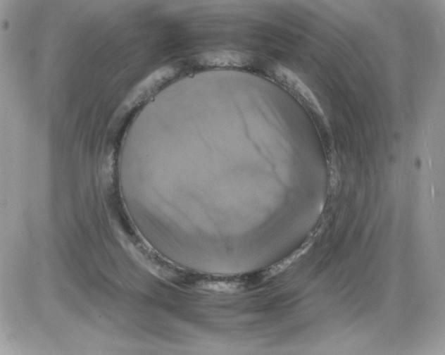 X0000085810163200704131955