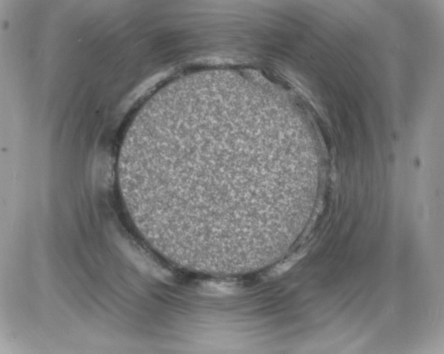 X0000085810164200704131955