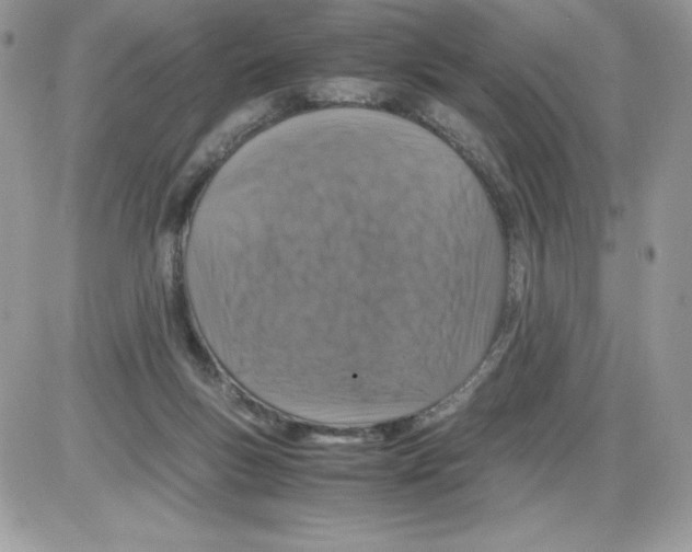 X0000085810167200704131955