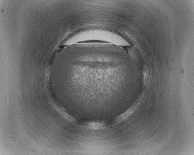 X0000085810168200704131955