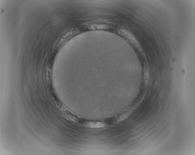 X0000085810169200704131955