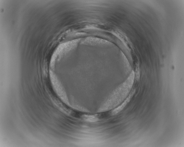 X0000085810170200704131955