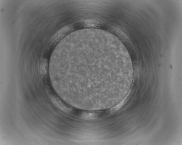 X0000085810174200704131956