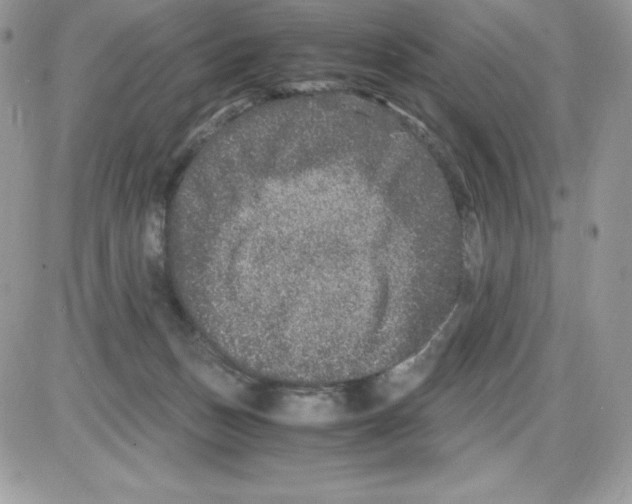 X0000085810175200704131956